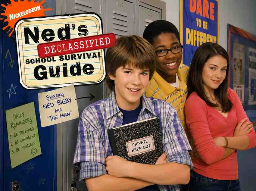 Every Nickelodeon Show That Was Quietly Cancelled Without a Finale (2000-2010) 13 neds