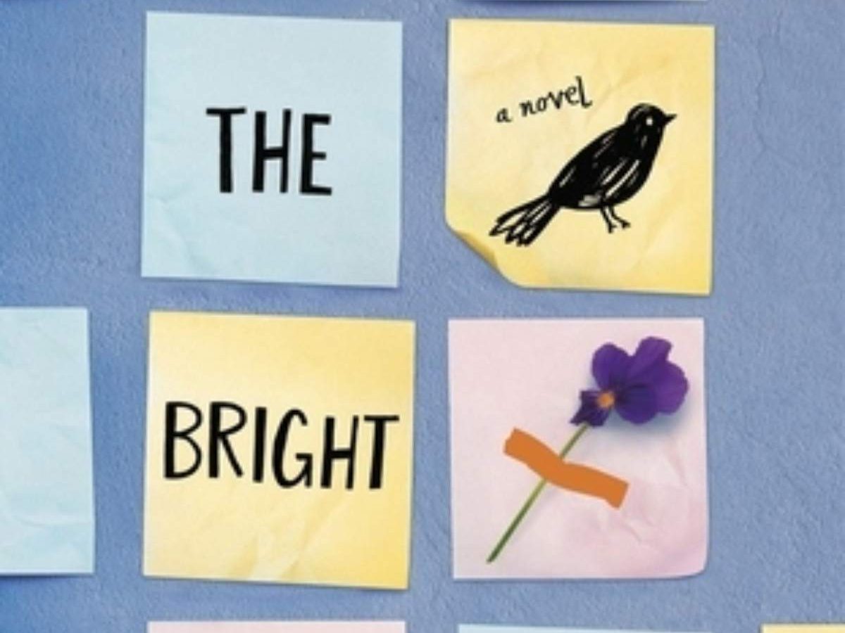 All the Bright Places by Jennifer Niven edited