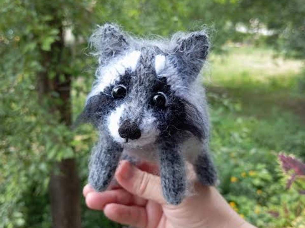 Jimothy the Raccoon edited 1