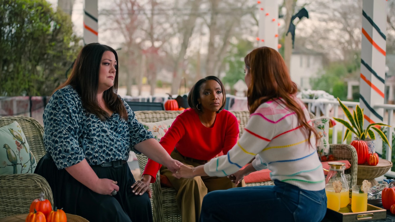 Sweet Magnolias Canceled